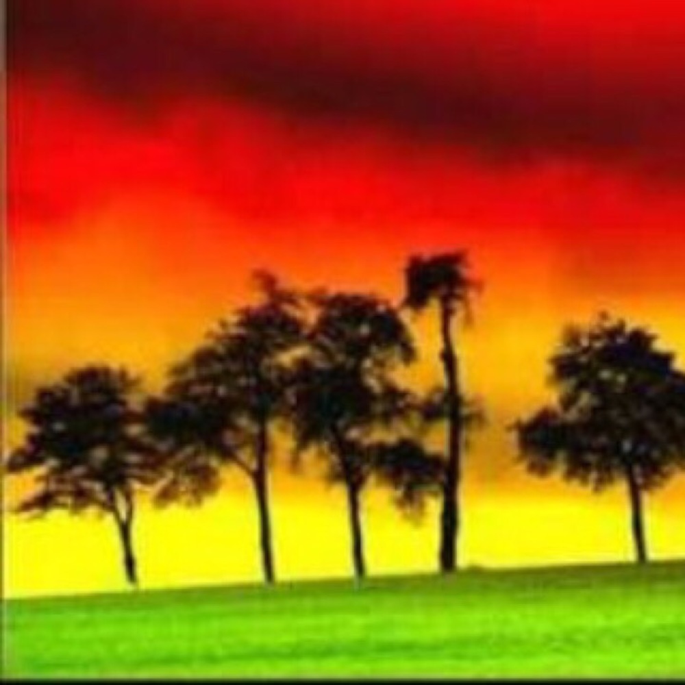 Meet your Posher, Wenger